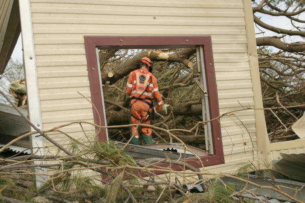 Professional Tree Removal in Kalida, OH